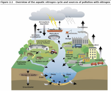 The water cycle to your home